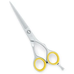 Barber Scissor